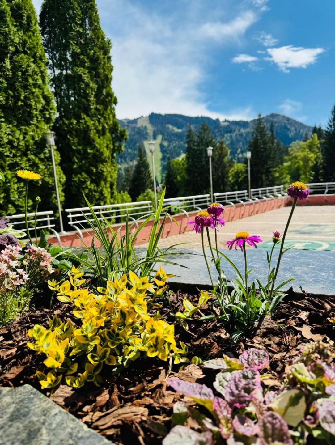 Piatra Mare Poiana Brasov